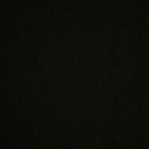 Meet your Posher, Spencer